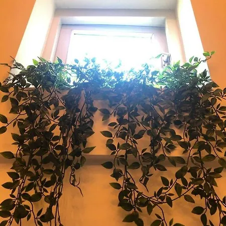 فندق مبيت وإفطار Inhetzijhuis *
